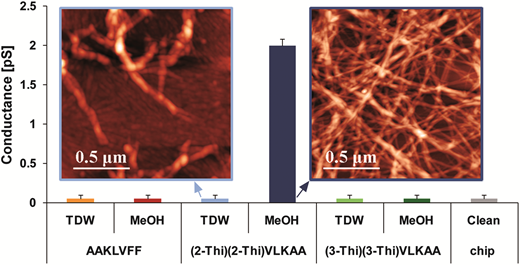 Rsc Function Network Conductance of amyloid β based peptide filaments: structure–function ...