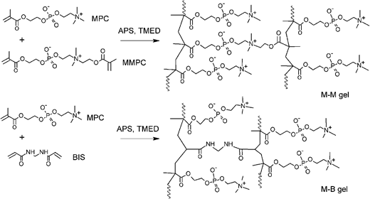 Rsc Function Network Relaxation modes in chemically cross-linked poly(2-methacryloyloxyethyl ...