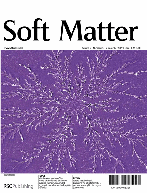Self-assembled peptide nanorods as building blocks of fractal patterns ...