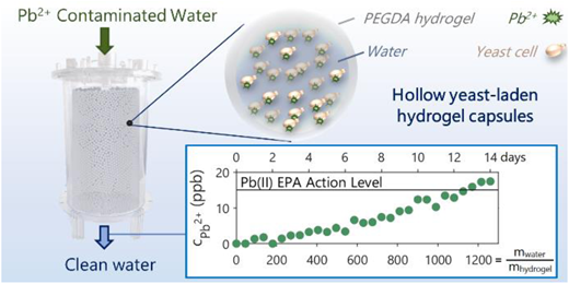 醸造所からバイオフィルターへ： 酵母ベースの浄水を可能にする(From Brewery to Biofilter: Making Yeast-Based Water Purification Possible)