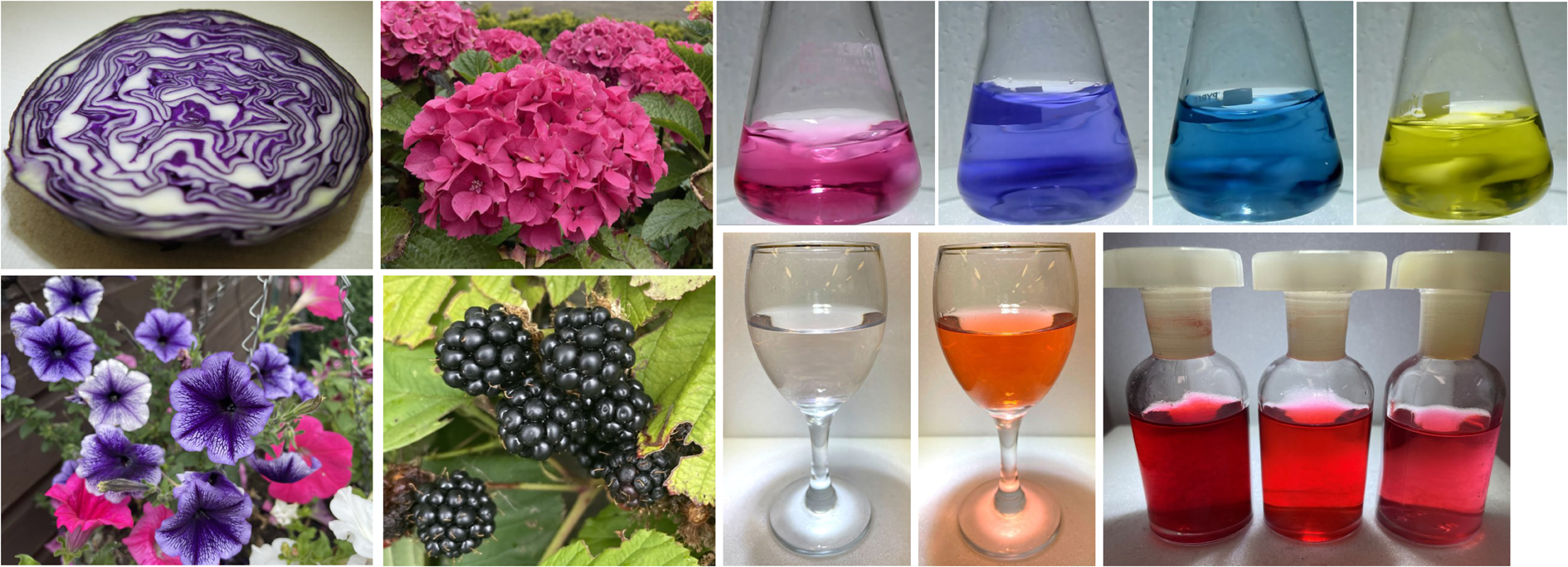This tutorial review provides chemistry educators with literature coverage (to the end of 2025) of teaching activities that feature plant-derived anthocyanin extracts. Overviews and procedures for example activities have been also been provided.