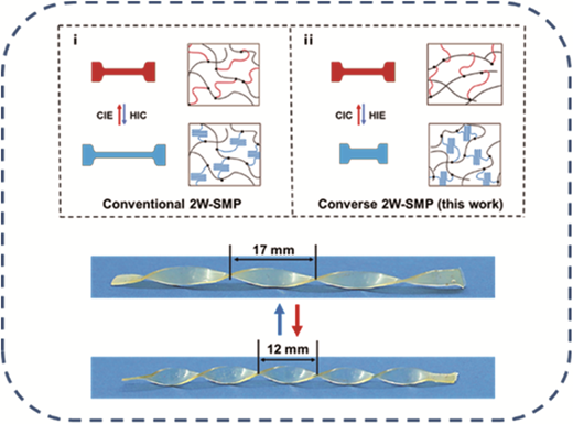 Converse two-way shape memory effect through a dynamic covalent network ...