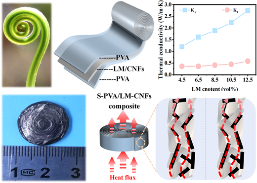 Bio-inspired spiral-structured poly(vinyl alcohol)/liquid metal/carbon ...