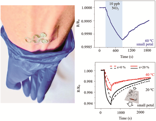 Graphical abstract: Novel gas sensing platform based on a stretchable laser-induced graphene pattern with self-heating capabilities