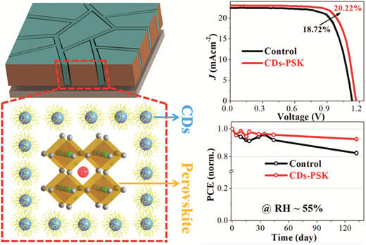 人間の毛髪由来のカーボンナノドットが太陽電池を強化 (Carbon dots from human hair boost solar cells)