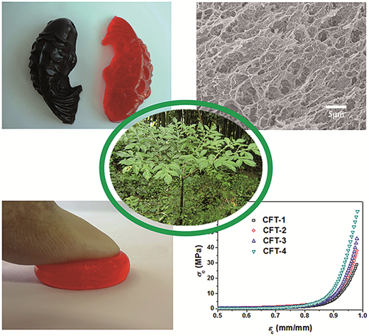 Rsc Function Network A novel biocompatible double network hydrogel consisting of konjac ...