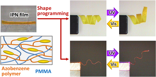 Rsc Function Network Shape programming and photoactuation of interpenetrating polymer ...