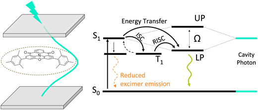 強力な光-物質結合により、より純粋なカラー発光を実現(Purer colour emission through strong light-matter coupling)