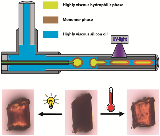 Actuating thermo- and photo-responsive tubes from liquid crystalline ...